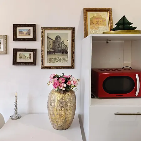 Katrca リュブリャナ